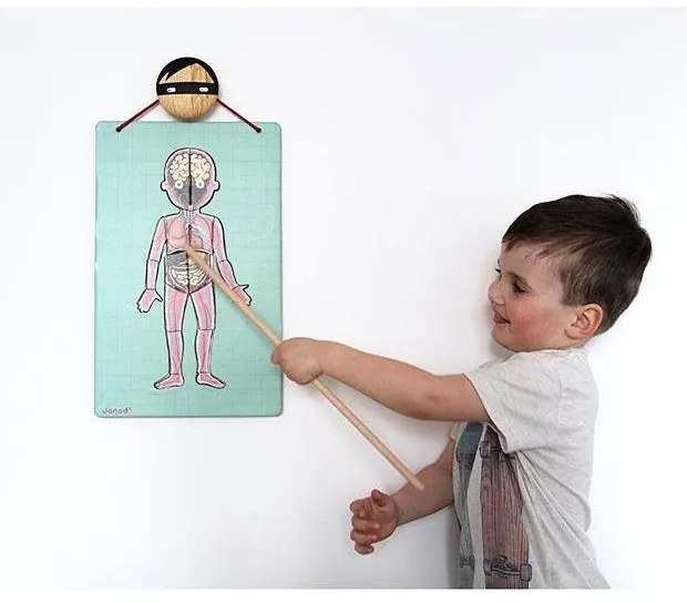 Bodymagnet - Lavagna magnetica - corpo umano