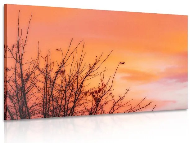 Quadro su tela – Cielo colorato