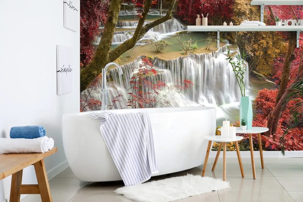Fotomurale – Cascata nella foresta