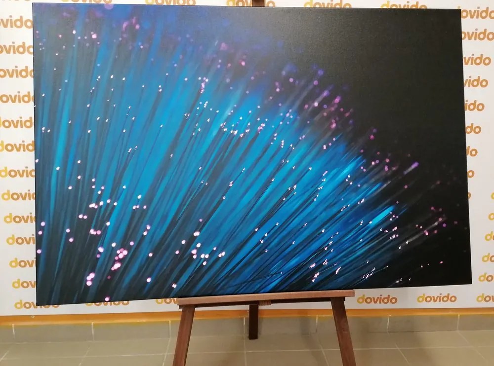 Quadro su tela – Fibra ottica