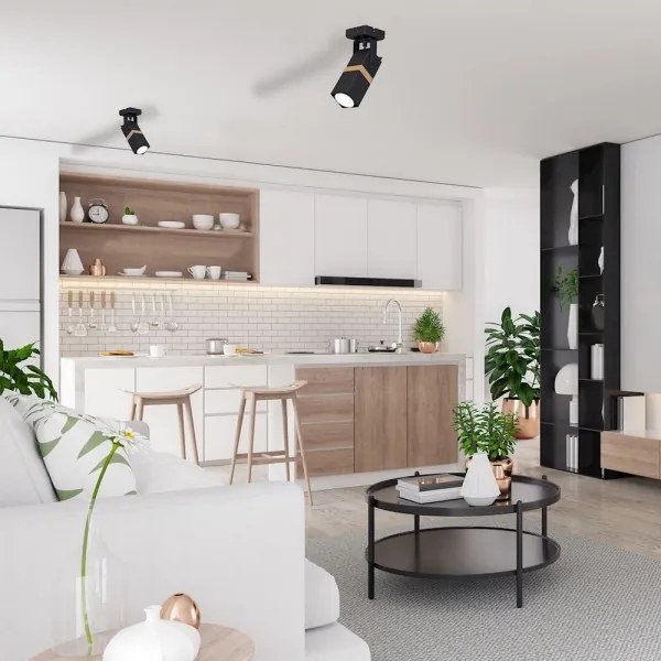 Luce Spot VIDAR 1xGU10/25W/230V nero