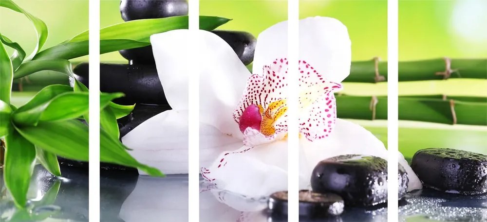 Quadri 5 pezzi – Orchidea giapponese