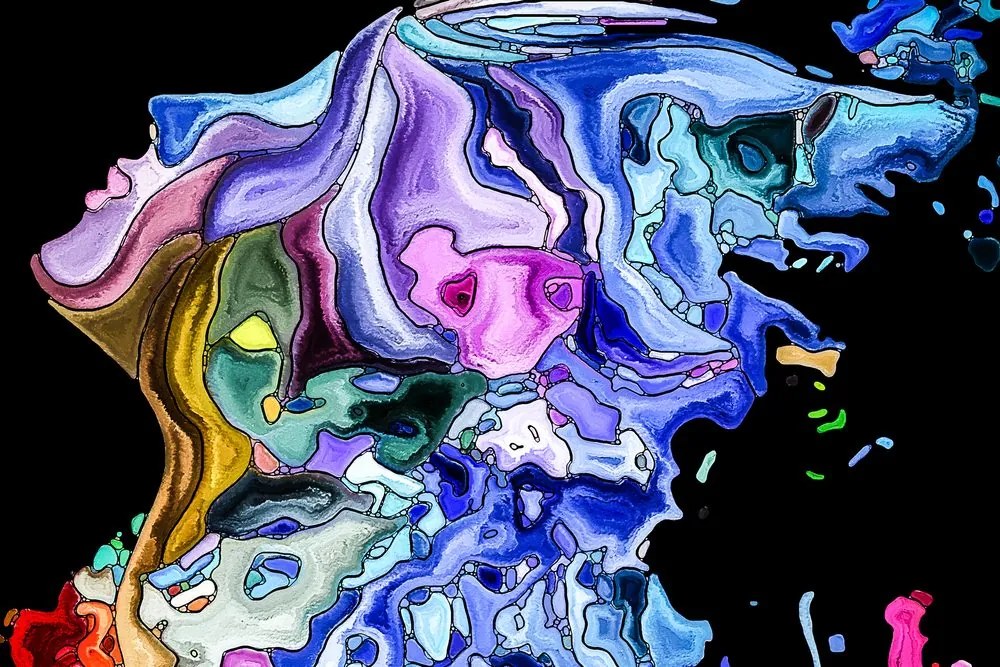 Stampa su tela – Silhouette colorata di volto femminile