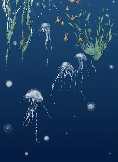 Edmond Petit Carta da parati Nautilus/Méduses/Nénuphars - Marine - Méduses gauche - Marine