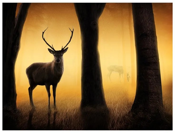 Fotomurale  Deer in his natural habitat  Colore Arancione, Dimensioni e Misure 250x193