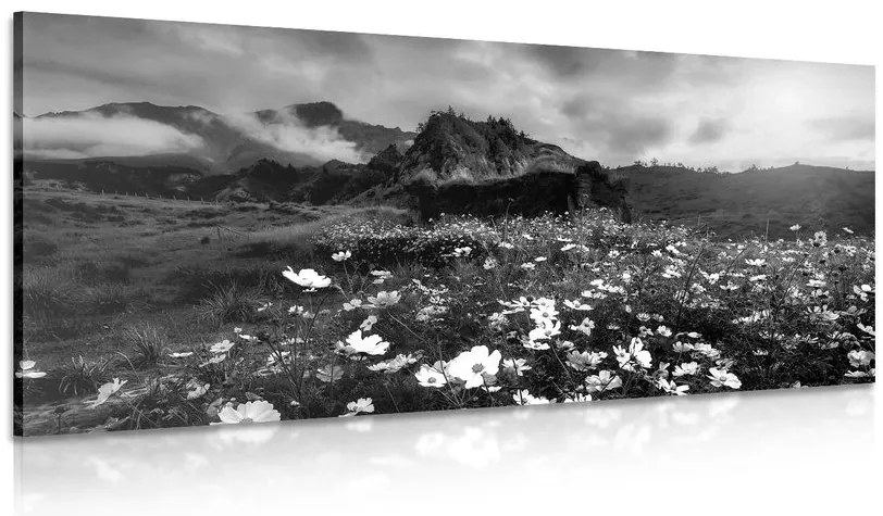 Stampa su tela – Prato di fiori in fiore in bianco e nero