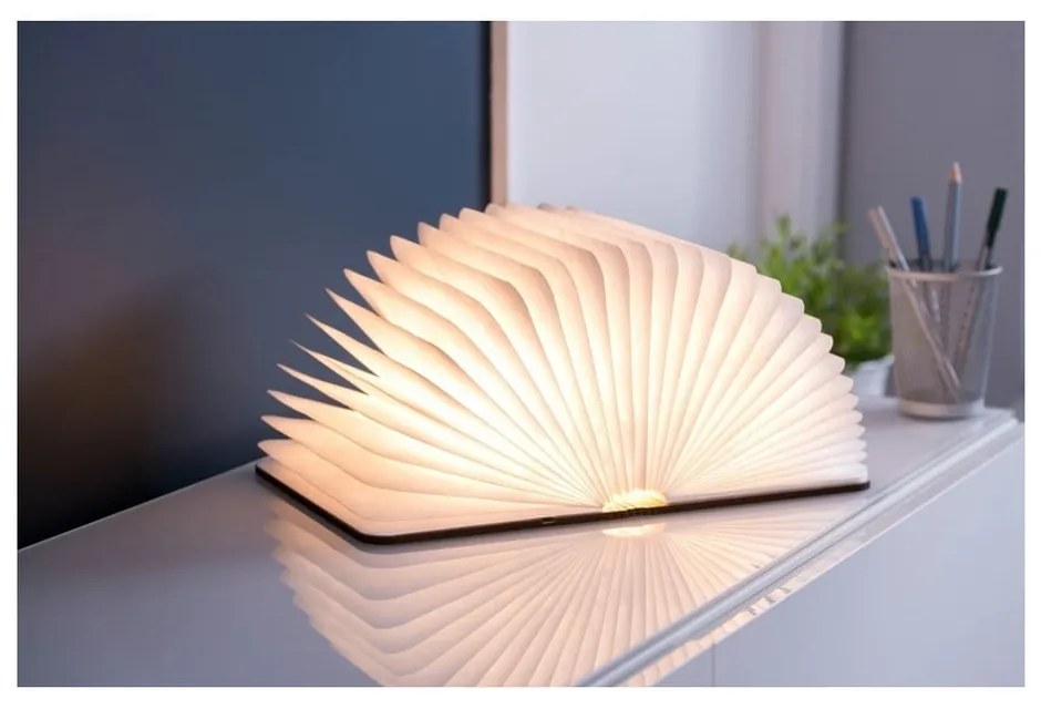 Decorazione luminosa marrone con ricarica USB Booklight – Gingko
