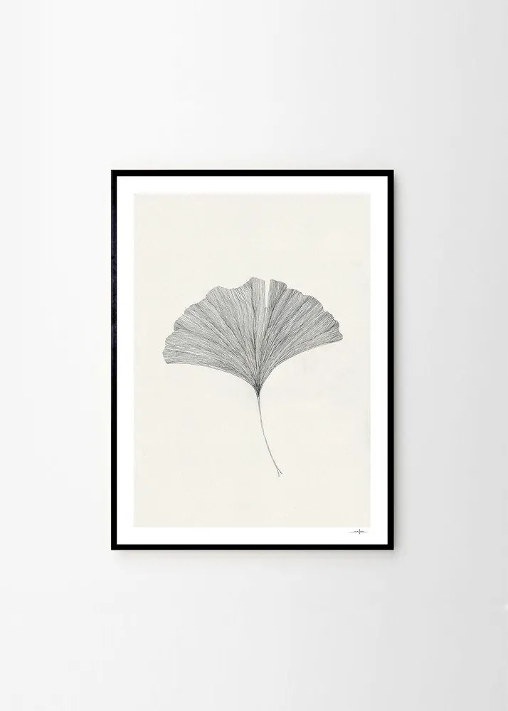 Poster 50x70 cm Ginkgo Leaf – Ana Frois – The Poster Club