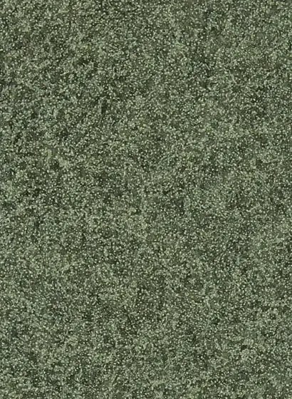 Zoffany Carta da parati Shagreen - Olivine
