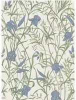 Cole & Son Carta da parati Iris - Iris Blue on Stone