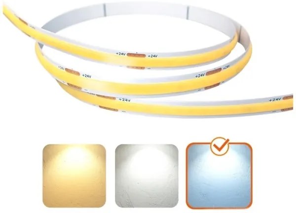 Striscia LED TRAMO LED/500W/24V 50 m 6500K