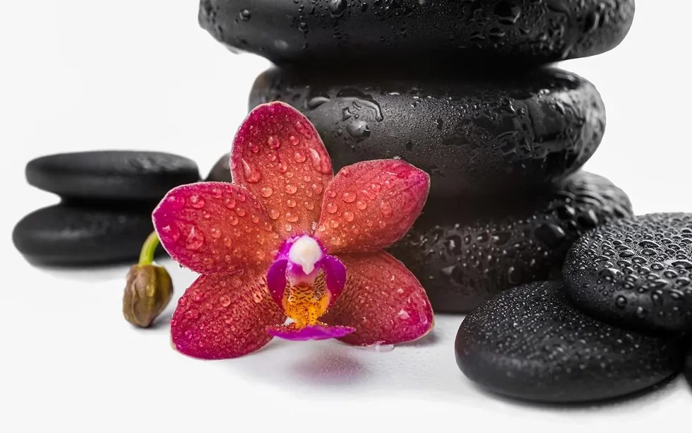 Carta da parati – Orchidea e pietre Zen su sfondo bianco