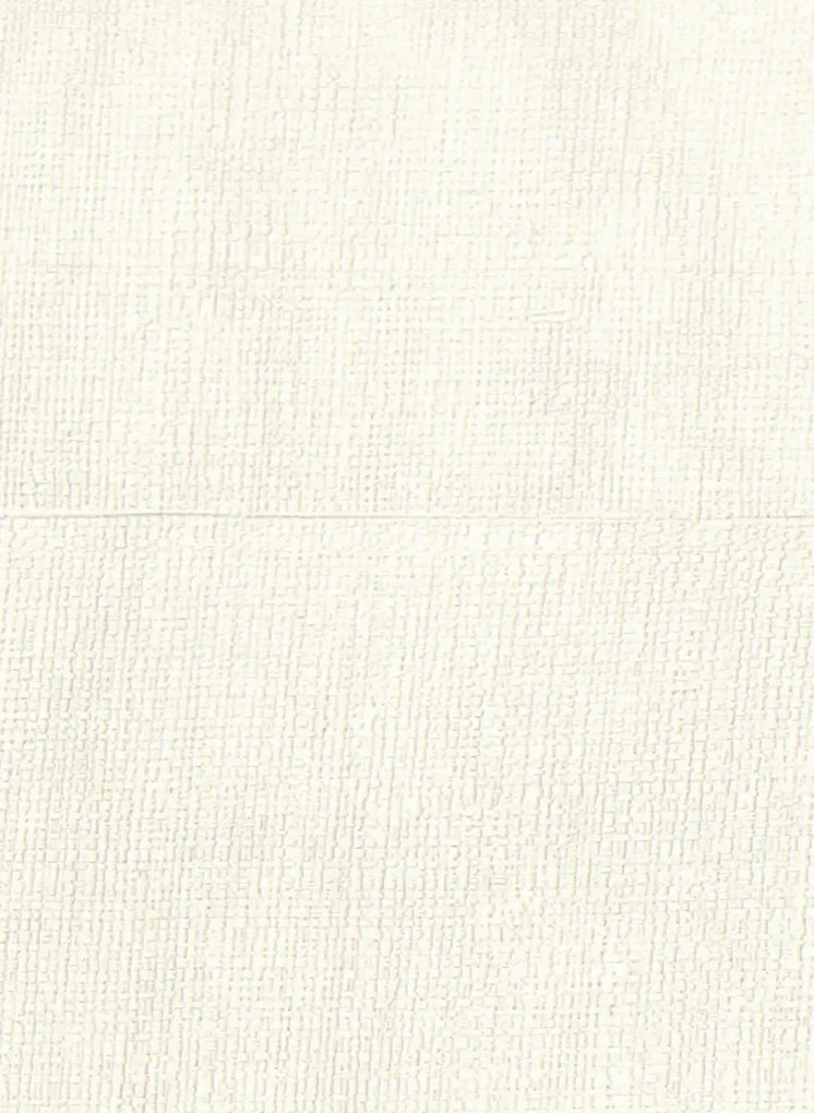 Élitis Carta da parati Atelier d'Artiste - VP 880 90