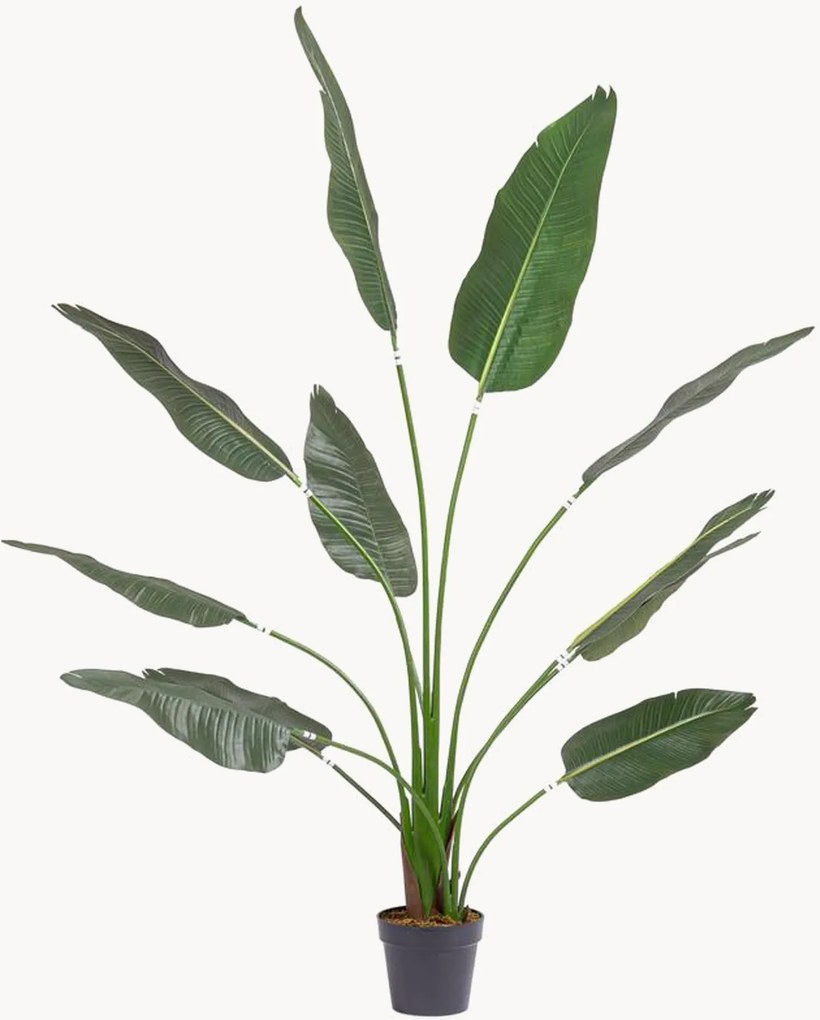 Pianta artificiale Strelitzia