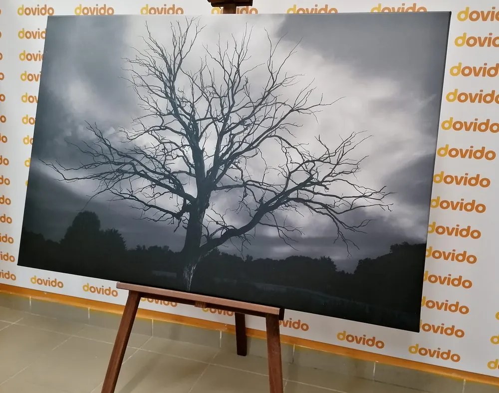 Quadro su tela – Albero sul prato in bianco e nero