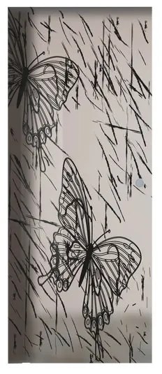 Anta per porta scorrevole esterno muro Butterfly in vetro nero, L 96 x H 215 cm spessore 8 mm, apertura sinistra