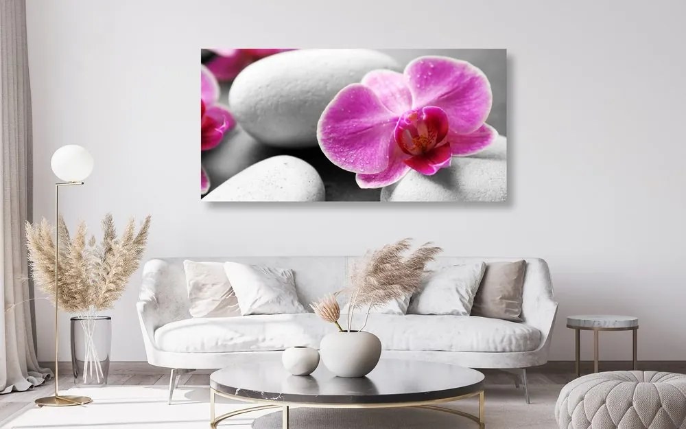 Quadro su tela – Fiori di orchidea su pietre bianche
