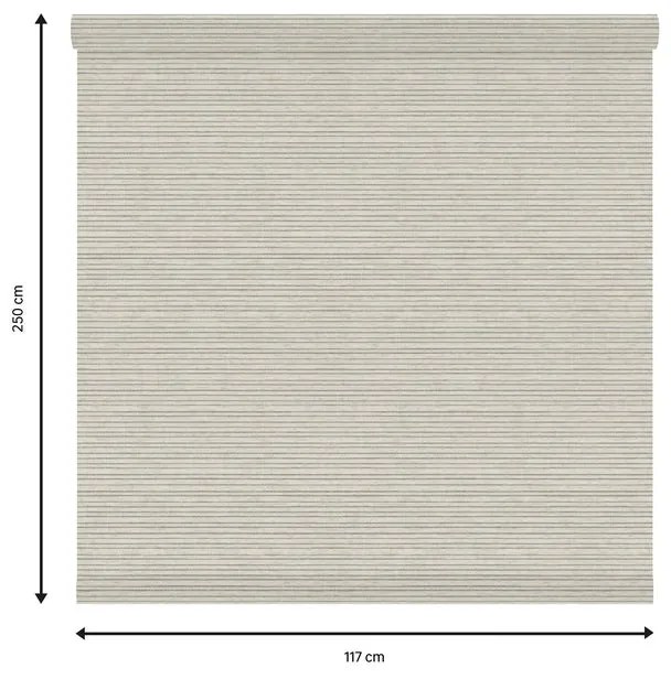 Tessuto per tende a rullo filtrante INSPIRE Darwin beige 117 x 250 cm