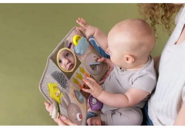 Taf Toys - Centro giochi per culla con melodia Giardino 3xAAA