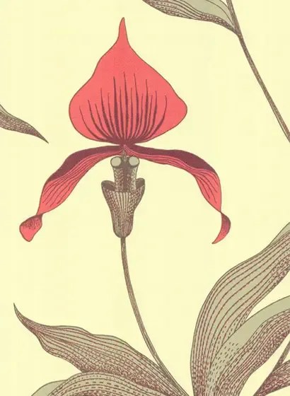 Cole & Son Carta da parati Orchid - Hellgrün/ Rotorange