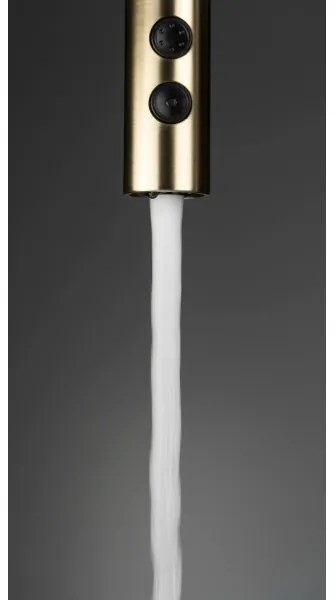 Deante BQO_R72M - Rubinetto lavello con doccetta estraibile OLFATO pettinato oro