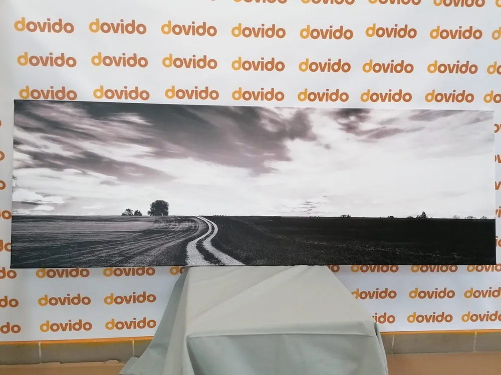 Quadro su tela – Paesaggio incantevole in bianco e nero