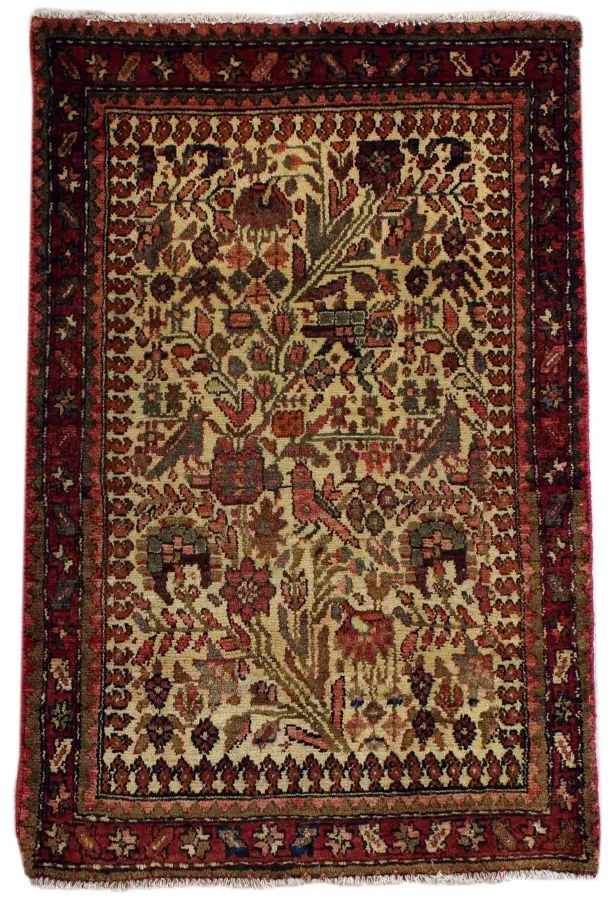Hamedan Tappeto 80 x 120 (Iran)