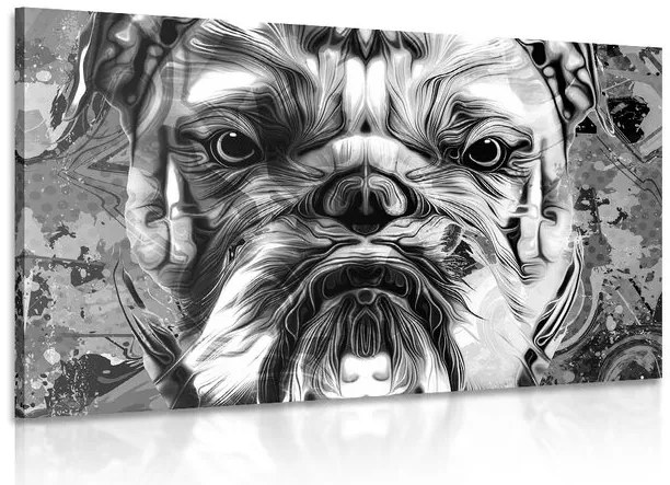 Stampa su tela – Bulldog in bianco e nero