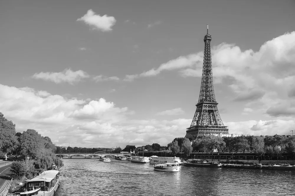 Carta da parati autoadesiva – Panorama affascinante di Parigi in bianco e nero