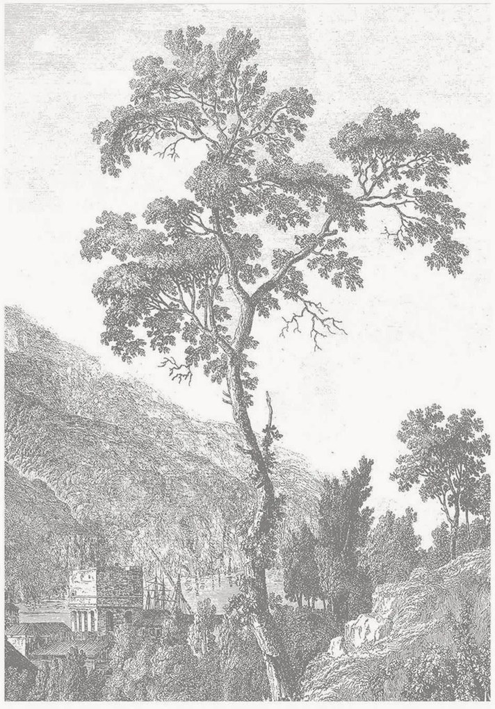 Carta da parati in tessuto non tessuto Engraved Landscapes I