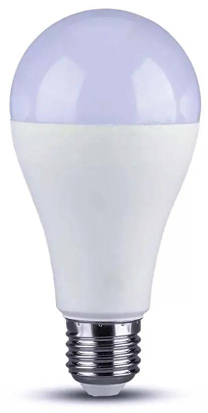 Lampada Led E27 A65 15W 1350lm Bianco Freddo 6400K Bulbo Sfera SKU-4455