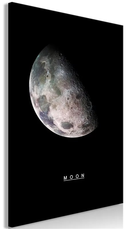 Quadro  Moon (1 Part) Vertical  Colore Bianco, Dimensioni e Misure 60x90