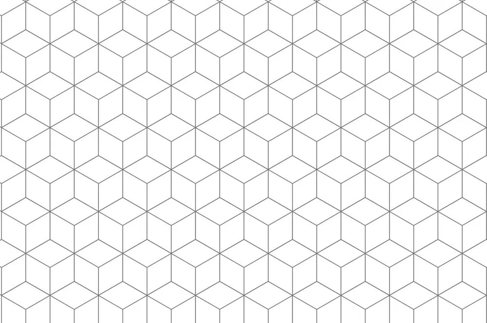 Carta da parati – Cubi in bianco e nero