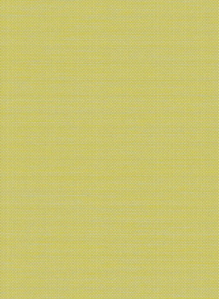 Arte Carta da parati Craft - Camomille