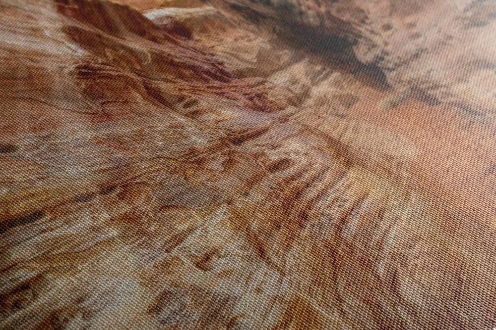 Quadro su tela – Sentiero nel Grand Canyon