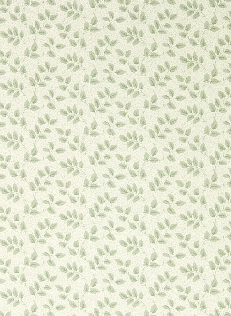 Sanderson Tapete Tomato Leaf - Willow