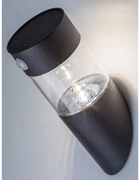 Rabalux 77015 - Luce solare a LED con sensore KAPUAS LED/1,5W/3,7V IP44