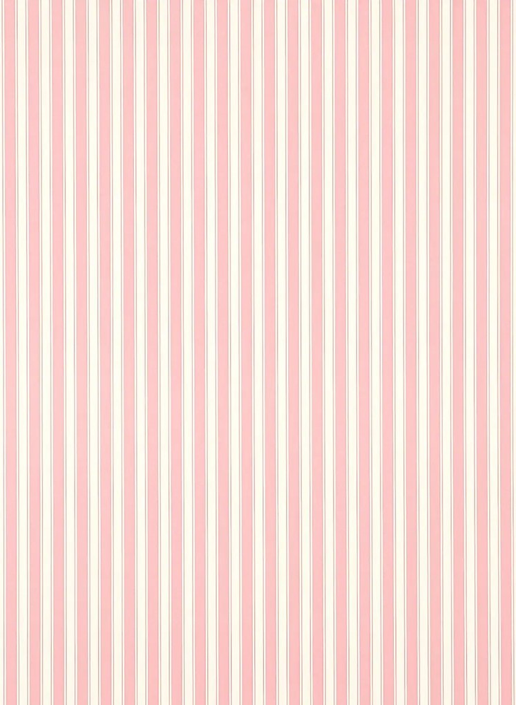 Sanderson Tapete New Tiger Stripe - Rose/ Ivory