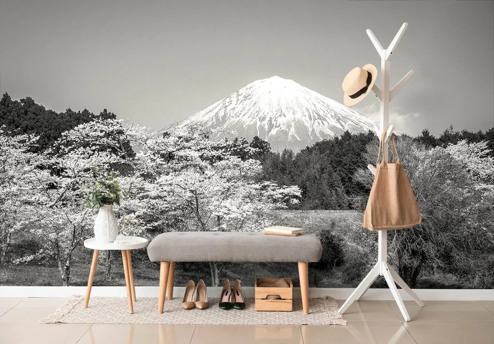 Carta da parati autoadesiva – Monte Fuji in bianco e nero