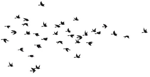 Adesivo Fanastick Birds in Flight - Ambiance