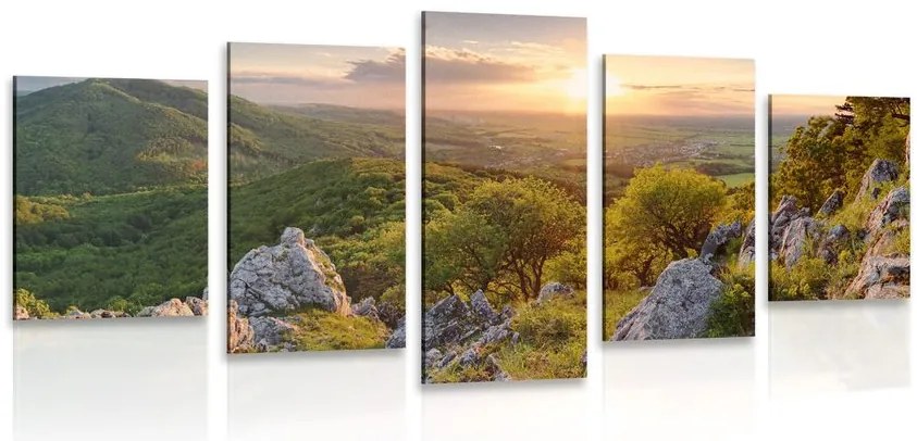 Quadri 5 pezzi – Natura baciata dal sole
