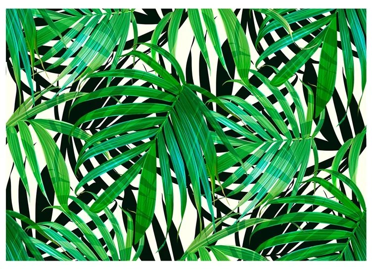 Fotomurale  Tropical Leaves  Colore Bianco, Dimensioni e Misure 200x140