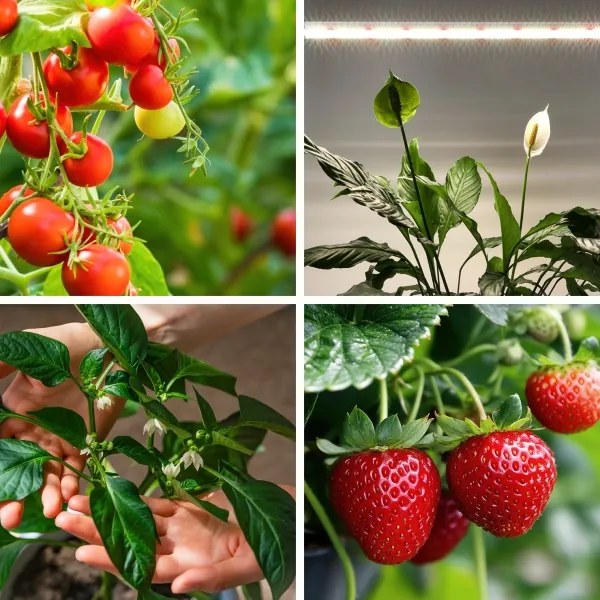 Lampada LED per coltivazione piante GROWLY LED/15W/230V