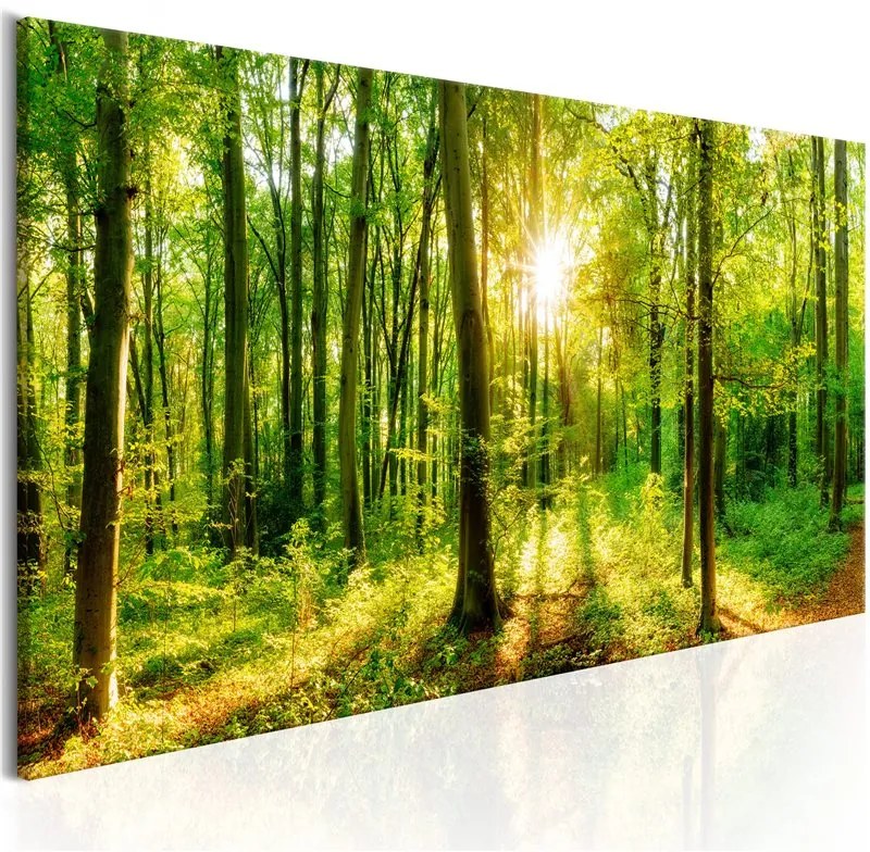 Quadro Green Magic  Colore Marrone, Dimensioni e Misure 120x40