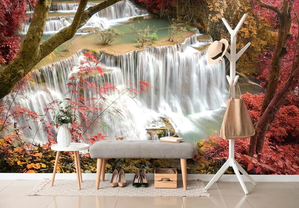 Fotomurale – Cascata nella foresta