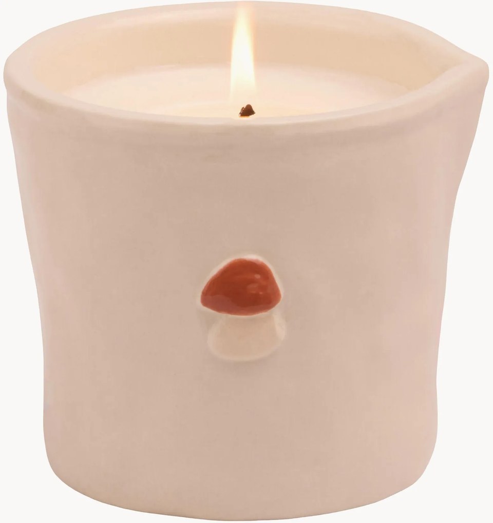 Candela profumata Paddywax Wild Mushroom