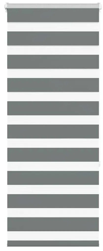 Tenda A Rullo Zebra Larghezza Tessuto 55,9 Cm Poliestere /