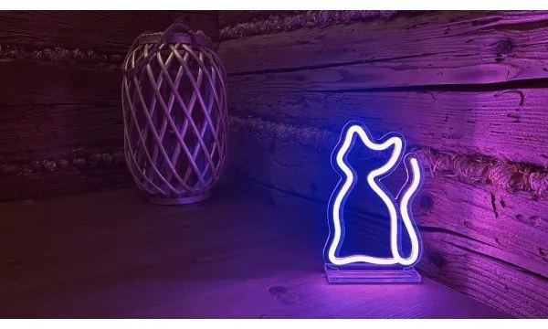 2Kids Toys - LED Neon tavolo decorazione LED/5W/USB gatta