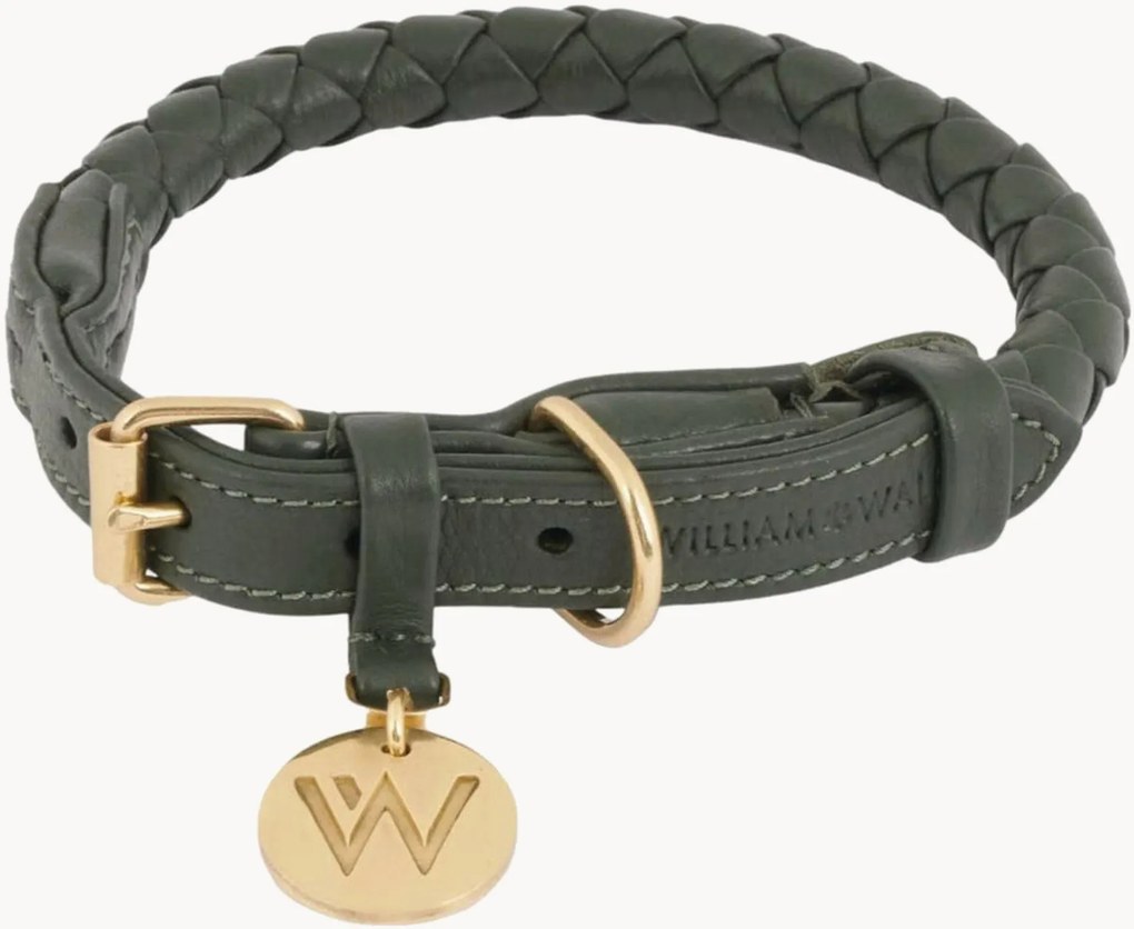 Collare per cani in pelle artigianale Twisted Dark Moss