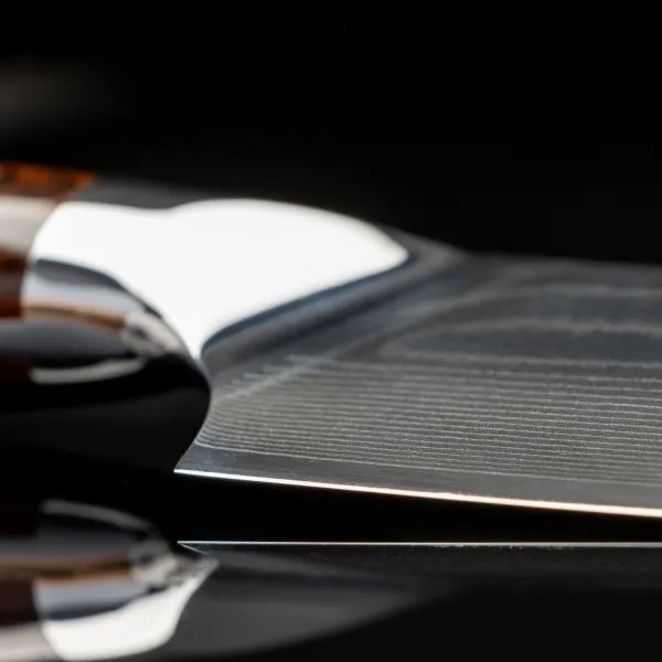 Gudaro - Coltello da chef in acciaio damasco FENG 8", 67 strati d'acciaio, lunghezza 20 cm